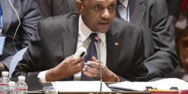 Le Tchad sollicite son expérience sécuritaire à l'ONU