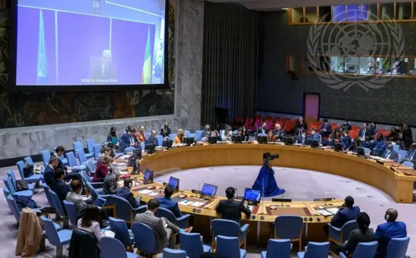 ONU : le Conseil de sécurité condamne l'attaque meurtrière contre les casques bleus tchadiens au Mali