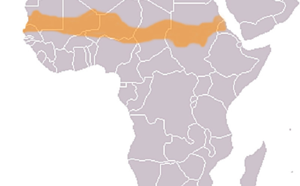 Pourquoi la sécurité au sahel préoccupe autant la France ?