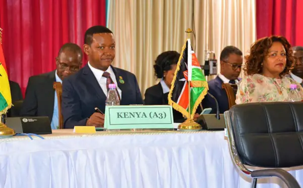 ONU : l'Afrique a droit à un siège de membre permanent au Conseil de sécurité (Kenya)