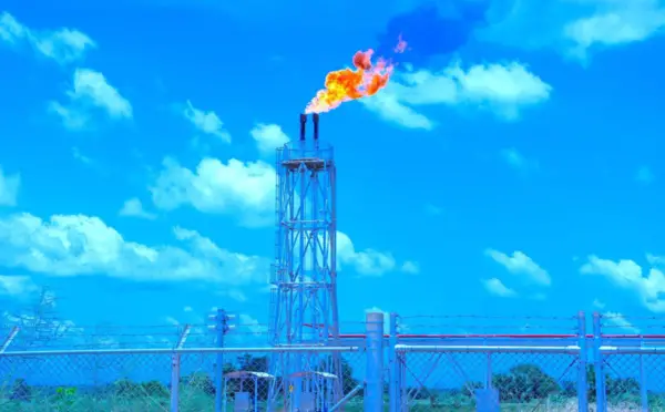 Savannah Energy remporte un arbitrage contre l'État tchadien