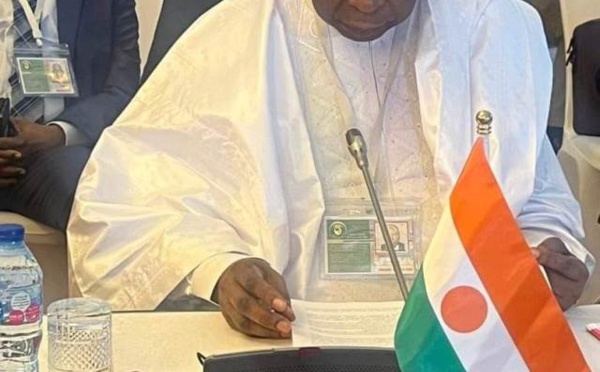 Image: Actu Niger