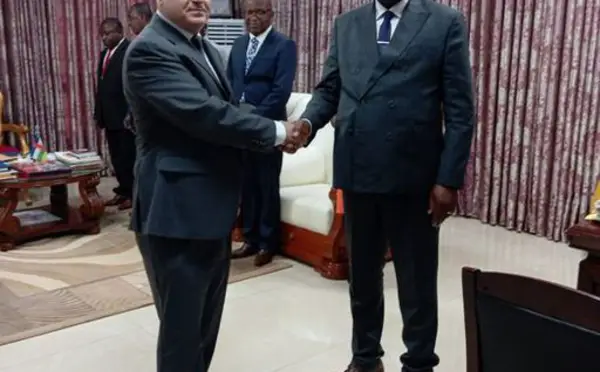 Centrafrique : l'Ambassadeur de Russie en RCA reçu en audience par le Premier ministre Moloua