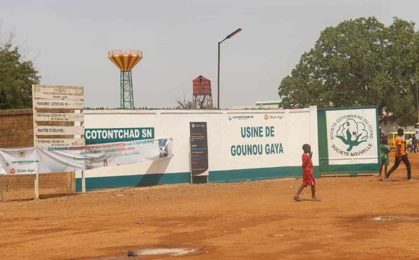 Tchad : le Premier ministre inaugure l’usine d’égrenage de coton de Gounou Gaya