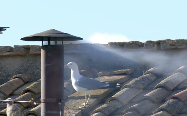 Vatican : Fumée Blanche ! Le 267e Pape de l'église catholique élu