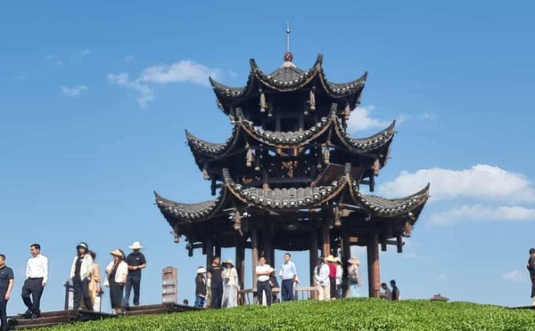 Hubei : au goût doux et à la liqueur vert cristal, le thé du tribut de Wujia Tai, un chef-d'œuvre millénaire