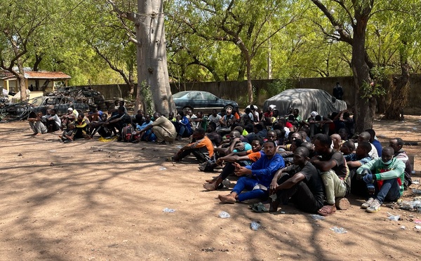 Cameroun - Garoua : Coup de filet de la Sûreté Nationale au secteur Cinéma Ribadou