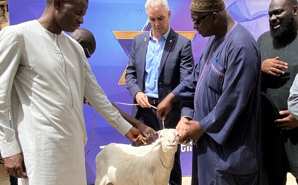 Tabaski au Sénégal : L’Ambassade d’Israël exprime sa solidarité avec 77 moutons remis à des familles
