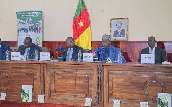 Cameroun : le pays prépare le premier Festival international du poivre de Penja
