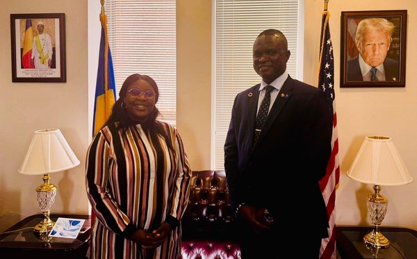 Audience : le représentant du CESCE en Amérique du Nord reçu par l’ambassadrice Léonie Kitoko Gata Ngoulou