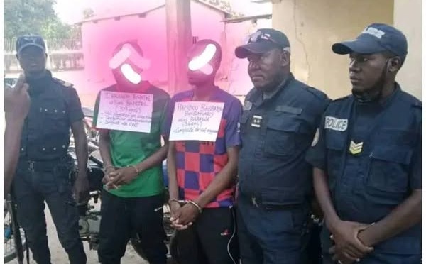 Cameroun : Un gang de braqueurs démantelé à Moulvoudaye  dans l'Extrême-Nord