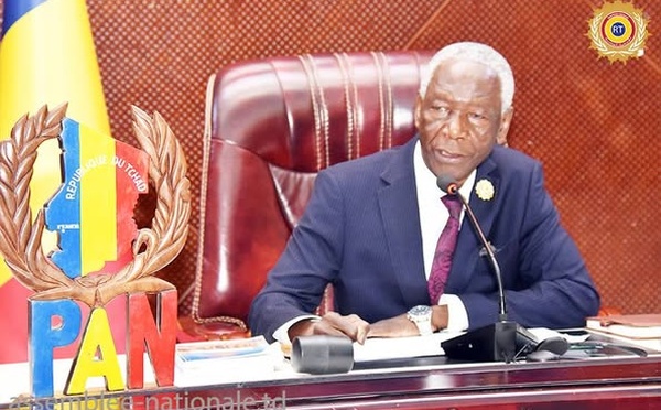 Tchad : L'Assemblée Nationale examine un projet de loi d'habilitation du gouvernement