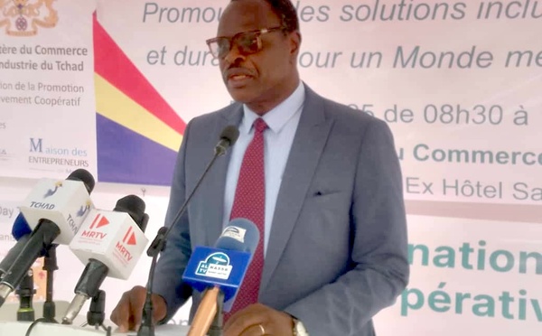 ​Le Tchad célèbre les coopératives, bâtisseuses d'un monde meilleur