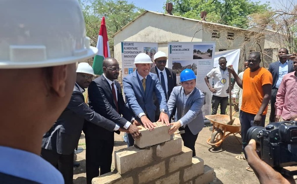 Tchad : La Hongrie s'engage à soutenir le développement du secteur de l'élevage
