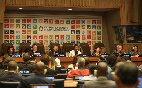 Séance d'information virtuelle et de questions-réponses pour la session 2025 du Forum politique de haut niveau des Nations-Unies pour le développement durable (FPHN). Photo : sdg.iisd.org