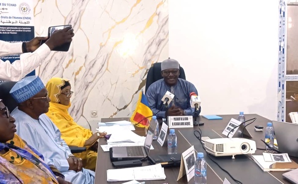Tchad : La CNDH et le HCDH s'allient pour renforcer les droits humains