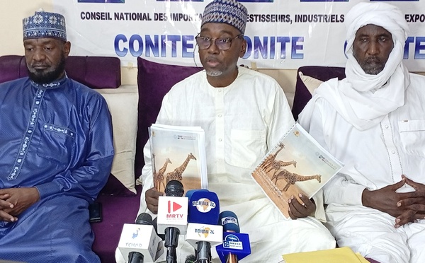 Tchad : le CONITE soutient le Programme national du développement (PND) « Tchad connexion 2030 »