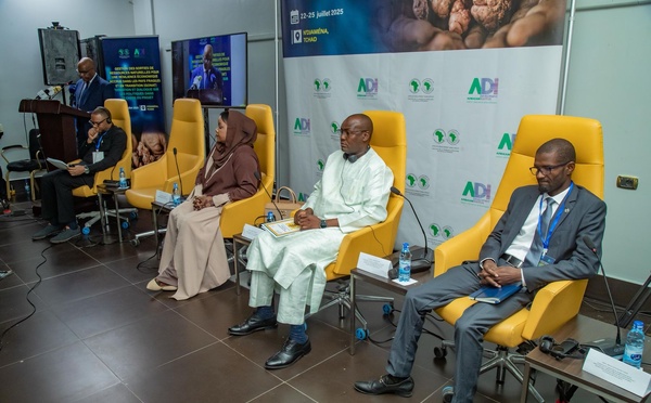 Tchad-BAD : rencontre sur la bonne gouvernance et la lutte contre les flux financiers illicites