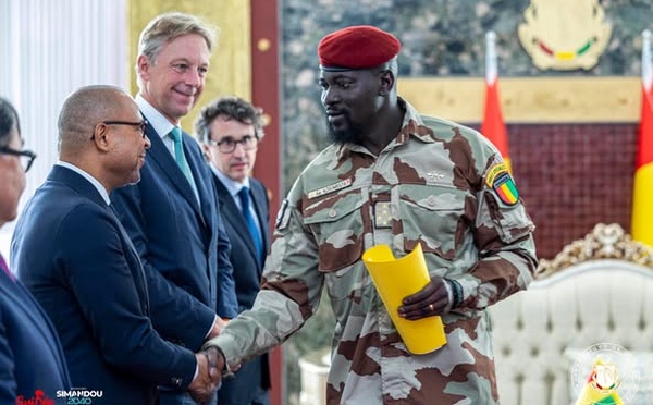 Guinée : Le nouveau PDG de Rio Tinto reçu par le président Mamadi Doumbouya