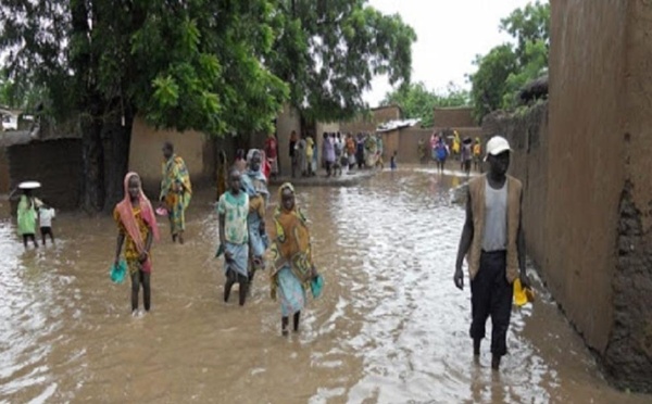 Cameroun : L'Extreme-Nord fait face à une situation humanitaire alarmante selon l'ONU