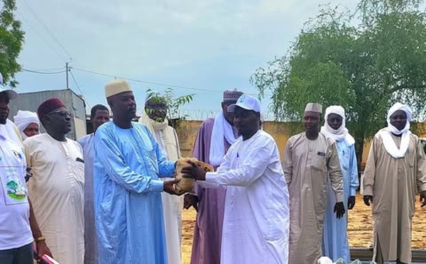 Tchad : Biltine reçoit 9 000 plants pour une ceinture verte