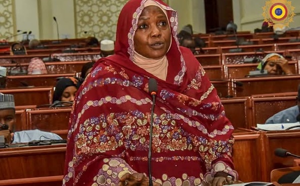 Tchad : Les députés approuvent la création d'une commission spéciale sur la révision de la Constitution