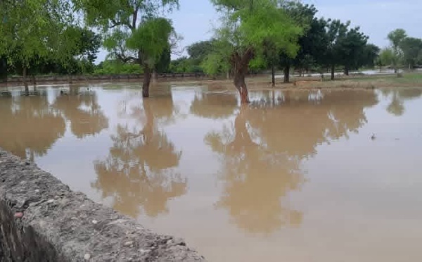 Info et Image : Direct Niger