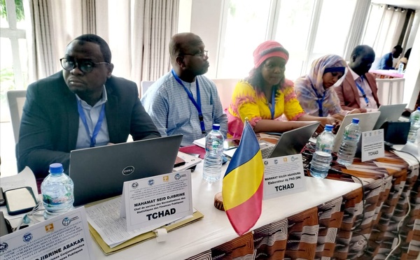 CEMAC : N’Djamena abrite un séminaire régional sur les statistiques des finances publiques