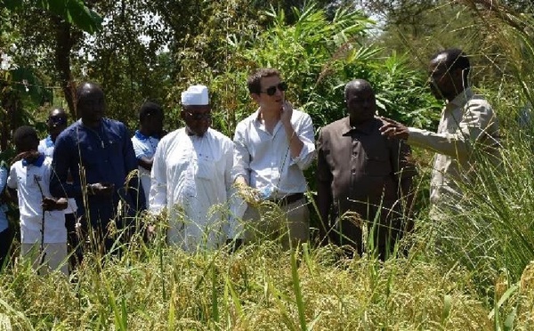 Tchad : l'ambassade de France s'engage en faveur de la jeunesse et du développement durable