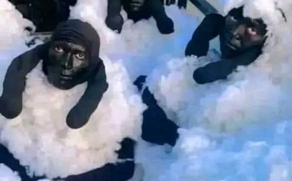 Insolite Algérie : Ils tentent de rejoindre l'Espagne déguisés en moutons !