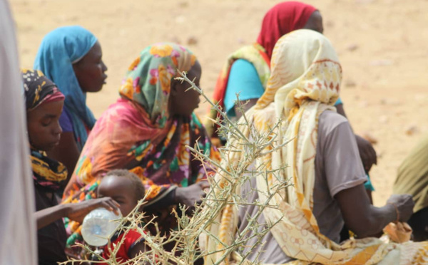 Le quotidien précaire des réfugiés soudanais installés au Tchad