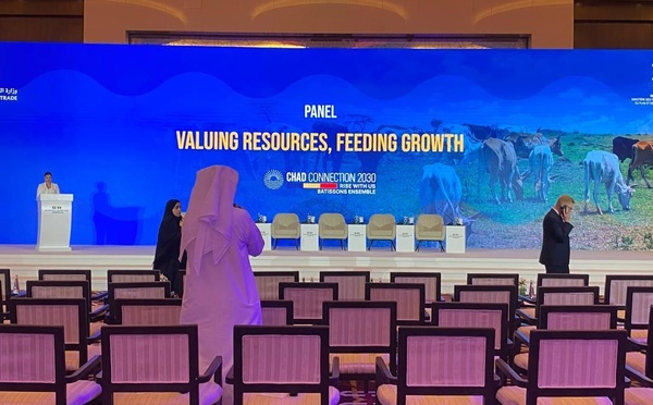 De Paris à Abu Dhabi : le Tchad à la recherche d’un vrai décollage économique avec le PND