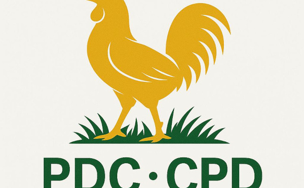 Cameroun : « Liberté d’entreprendre ou liberté d’annoncer ? », se demande le PDC