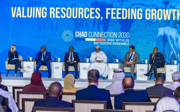 Tchad : lancement du premier projet opérationnel, trois jours après la Table ronde de Doha
