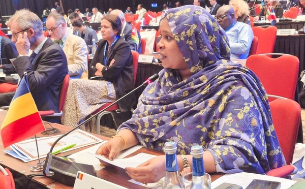 Francophonie : La Ministre déléguée Fatimé Aldjineh Garfa porte la voix du Tchad à la 46e conférence ministérielle