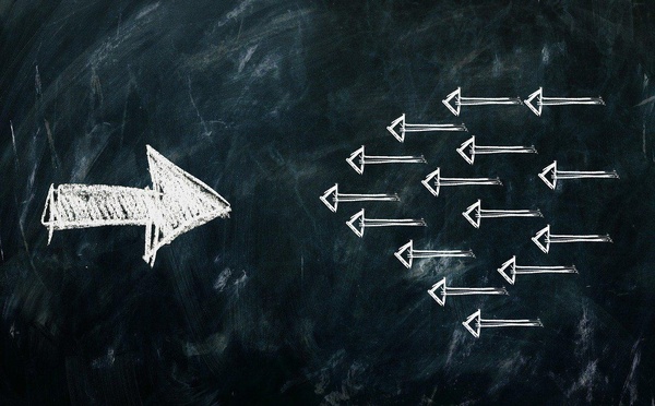 Tchad : La rétention des compétences, un frein systémique à l'épanouissement professionnel