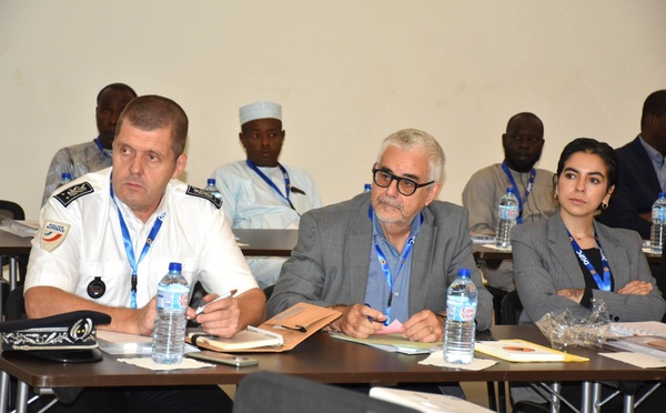 Protection civile : la France et le Tchad coopèrent activement