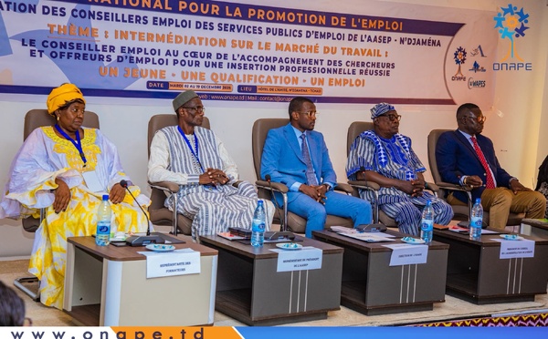 Tchad : session de formation des conseillers emploi des SPE membres de l’AASEP