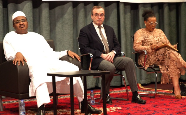 Tchad : Lancement de l’Année Internationale des Volontaires pour le Développement Durable