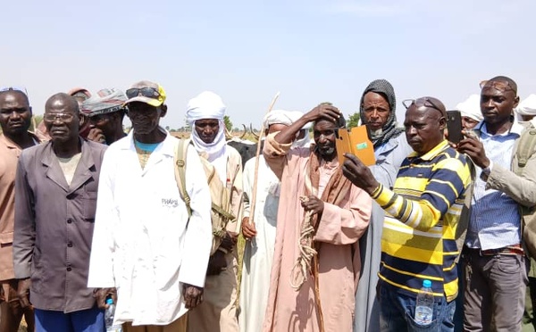 Tchad : Lancement d'une campagne de sensibilisation à la vaccination animale à Béré dans la Tandjilé