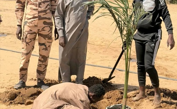 Tchad – Environnement : Lancement de l’opération « Un ménage, un arbre » à Djara (Kanem-Est)