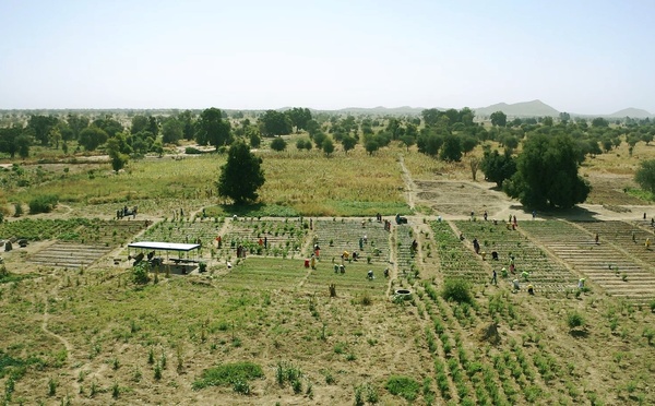 Tchad : Bilan positif pour le projet de résilience soutenu par la Corée