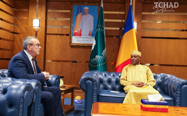 Tchad : l'ambassadeur de France reçu par le ministre des Affaires étrangères