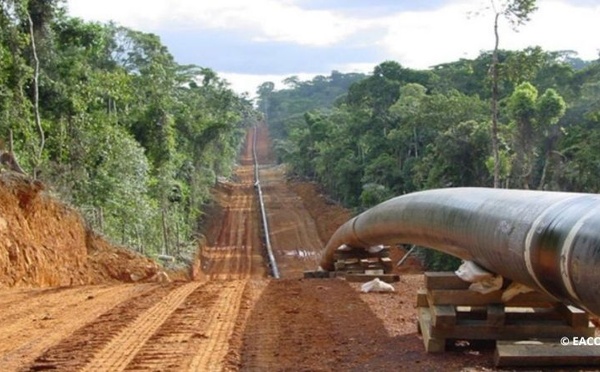 Niger : Double sabotage du pipeline au sud de Jaouro par le MPLJ