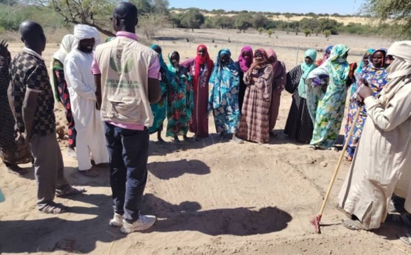 Tchad : le P2RS 2 et l’Antenne ANADER du Kanem forment les producteurs du Kanem-Sud