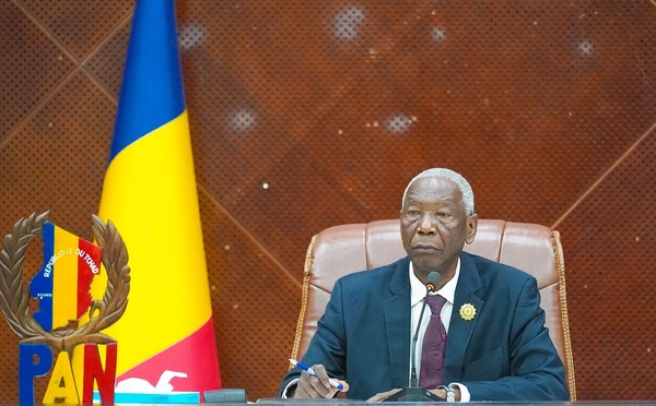 Tchad : l’Assemblée nationale adopte le projet de loi d’habilitation du gouvernement