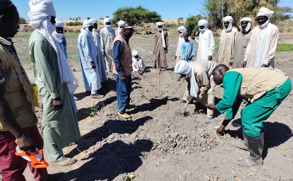 Tchad : renforcement des capacités des producteurs à Moussoro