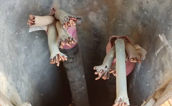 Cameroun - Garoua : La "Cité de la Bénoué" plongée dans le noir par des vandales de câbles électriques