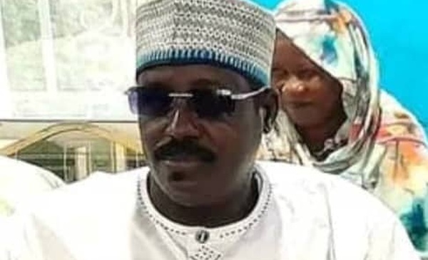 Tchad : Mort d’une girafe à Damlel, clarifications des autorités