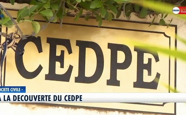 Le Consortium CEDPE alerte sur le nexus climat–sécurité–environnement en Afrique centrale